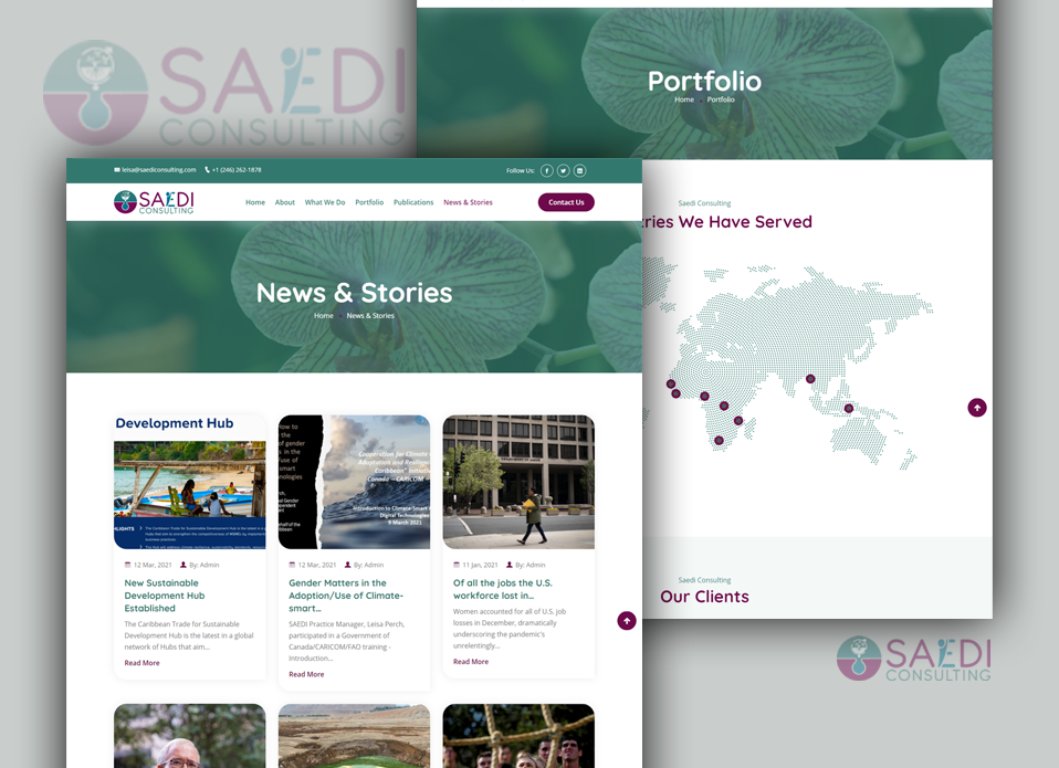 Boyce Suite Company Ltd.: SAEDI Consulting project - slide 1